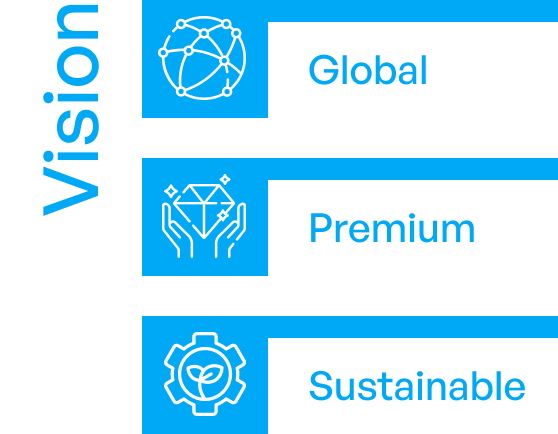 Vision: Global, Premium, Sustainable